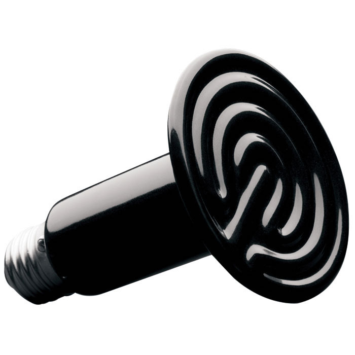 75w ceramic heat best sale bulb