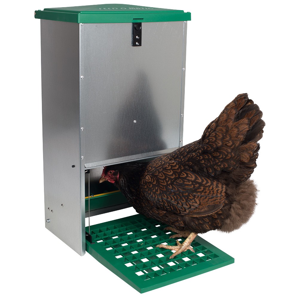 Automatic treadle feeder for 20kg feed