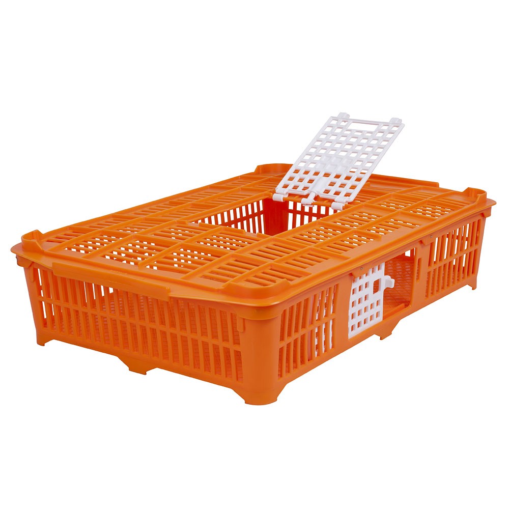 Transport crate for pigeons / quails