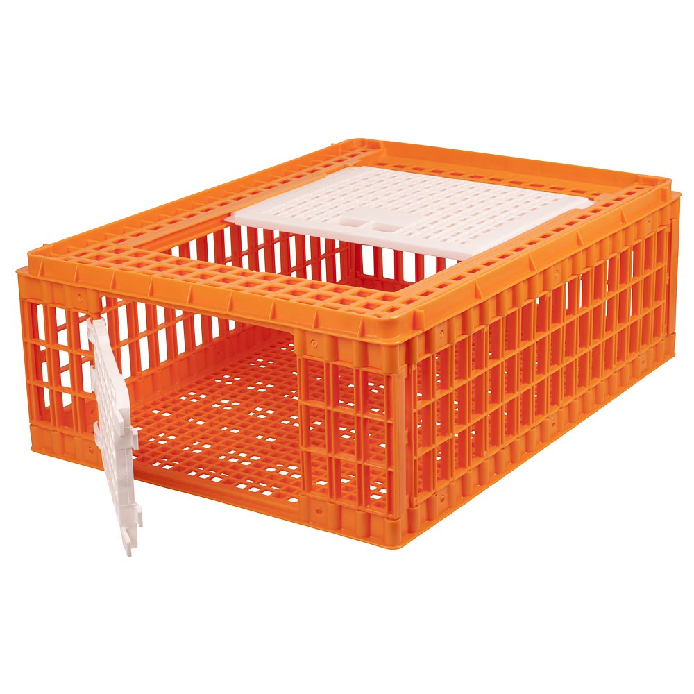 Transport crate for poultry 97x58x27cm