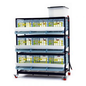 Cage system for quails Comfortplast - 3 TIERS