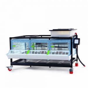 Chick brooder Comfortplast 25cm - 1 TIER