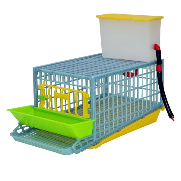 quail-cage-mini