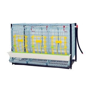 Cage system for parent stock - ADDITIONAL TIER
