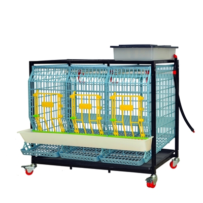 Cage system for parent stock - 1 TIER