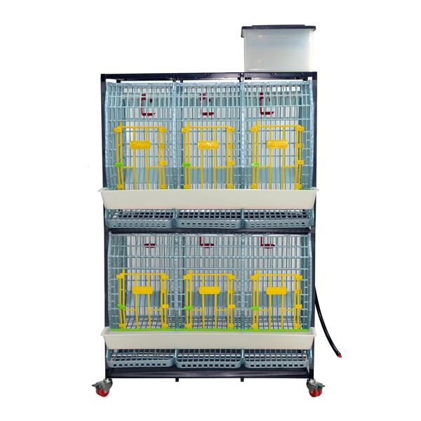 Cage system for parent stock - 2 TIERS