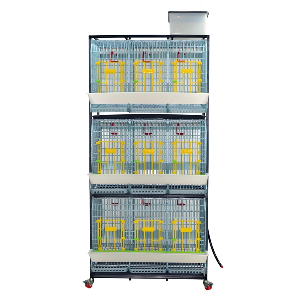 Cage system for parent stock - 3 TIERS