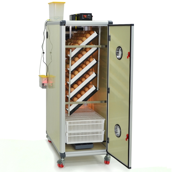 Combined egg incubator CIMUKA HB500C