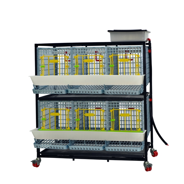 Cage system for laying hens - 2 TIERS