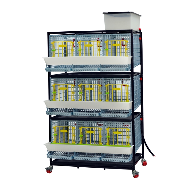 Cage system for laying hens - 3 TIERS