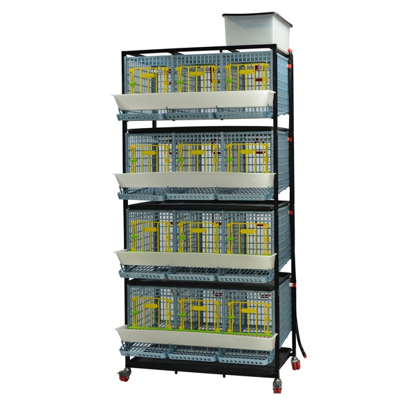 Cage system for laying hens - 4 TIERS