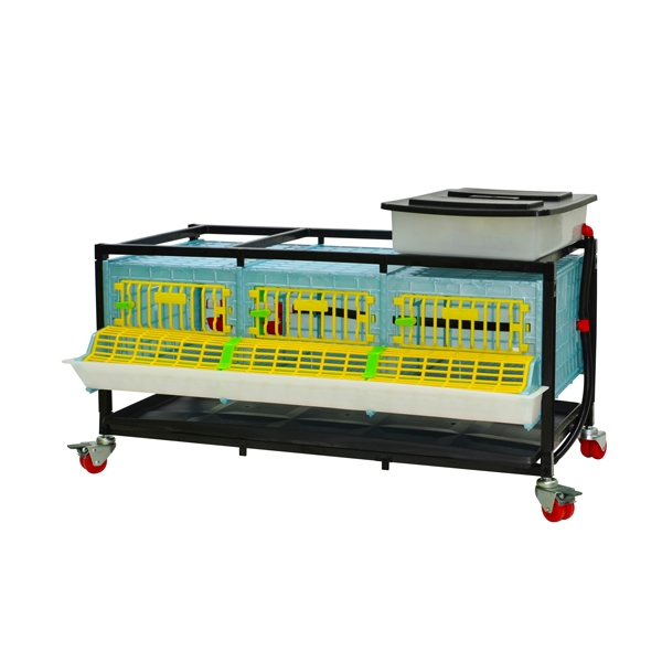 Pullet cage system 25cm - 1 TIER