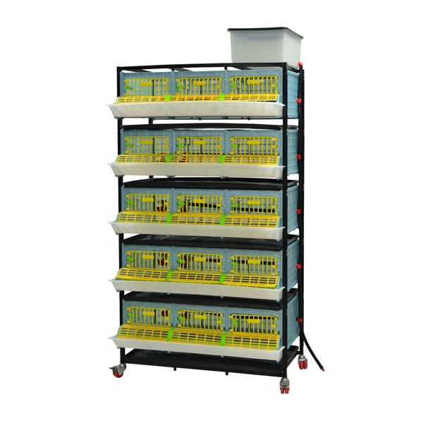 Cage system for pullets - 5 TIERS