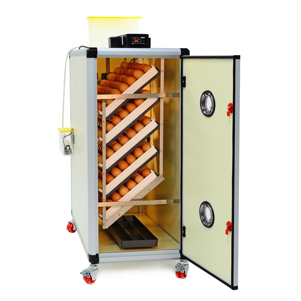 Egg incubator (setter) CIMUKA HB350S