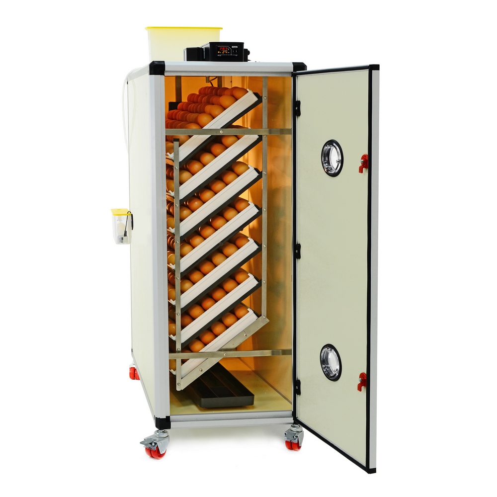 Egg incubator (setter) CIMUKA HB500S