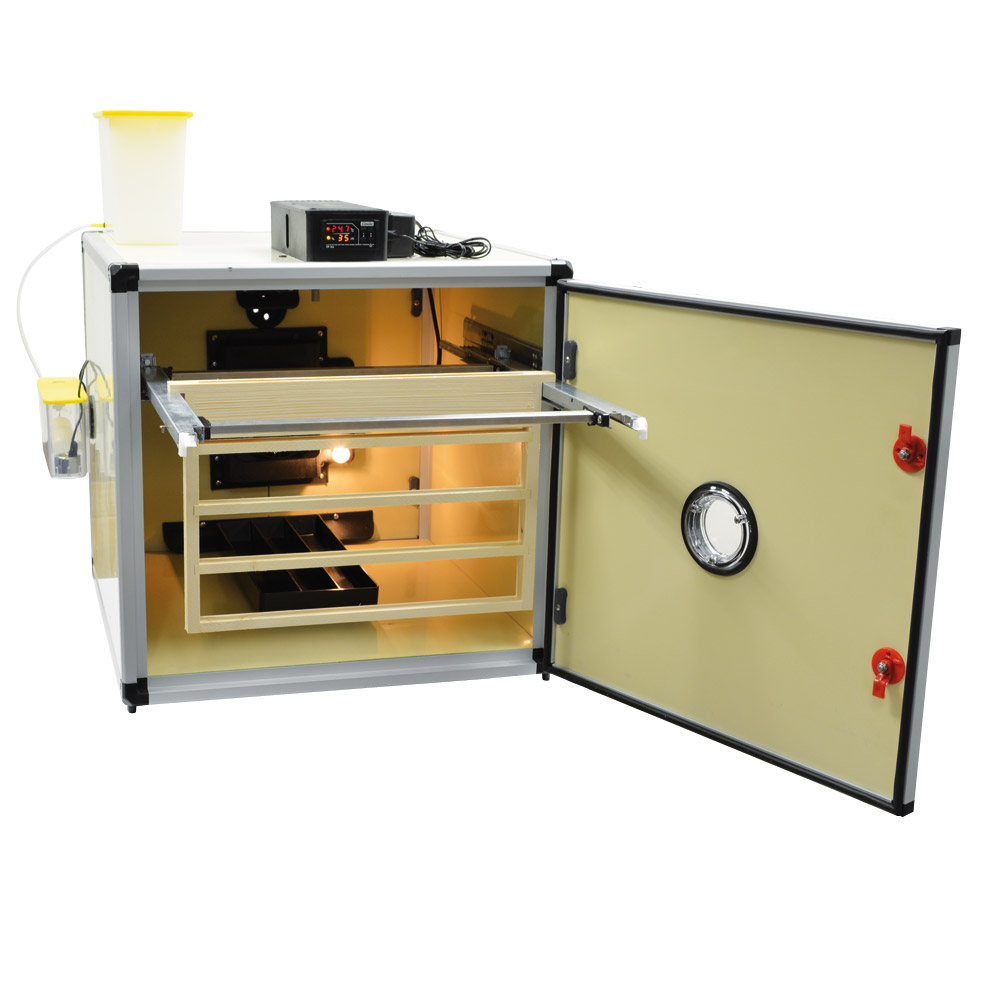 Queen Bee Incubator