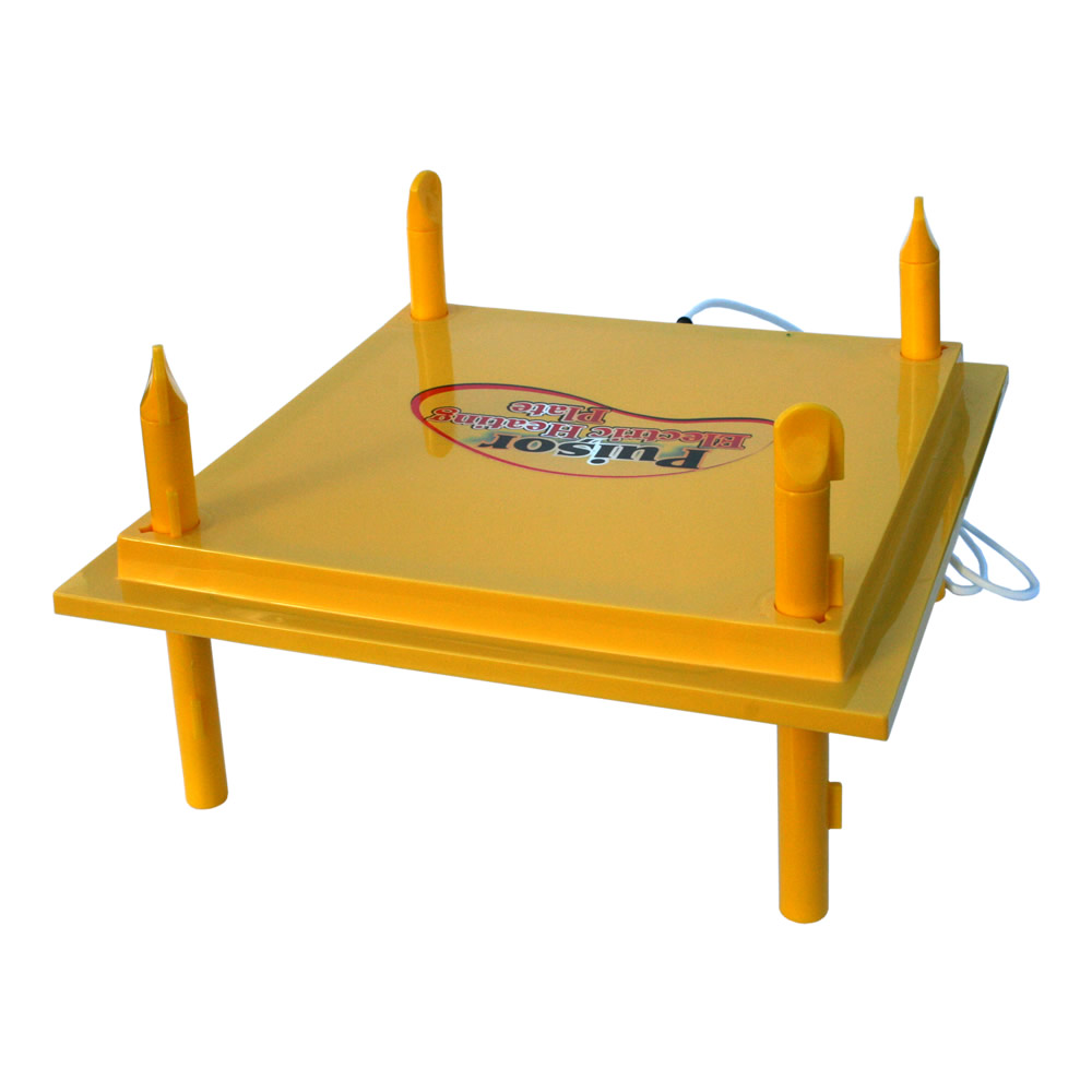 Heating plate PUISOR MOTHER HEN