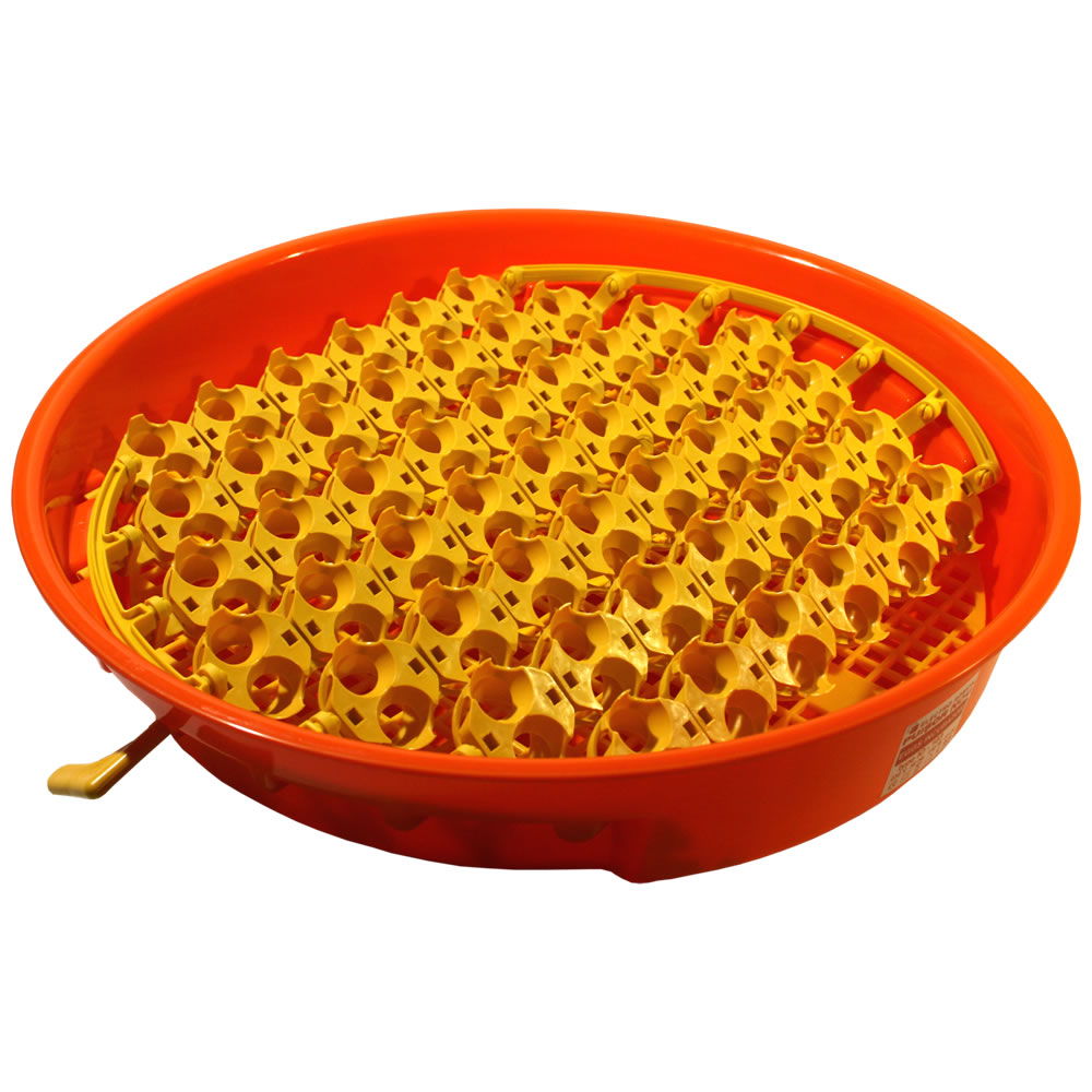 Quail egg adapters PUISOR