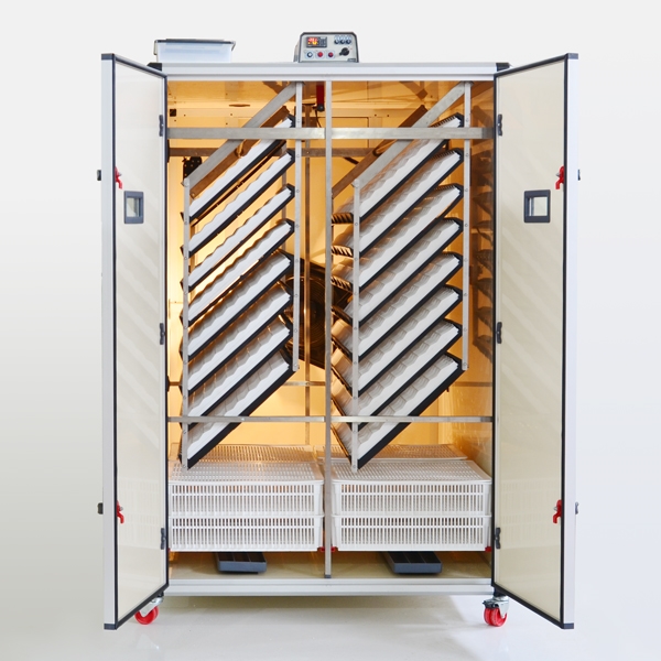 Combined egg incubator PRODI T3200C