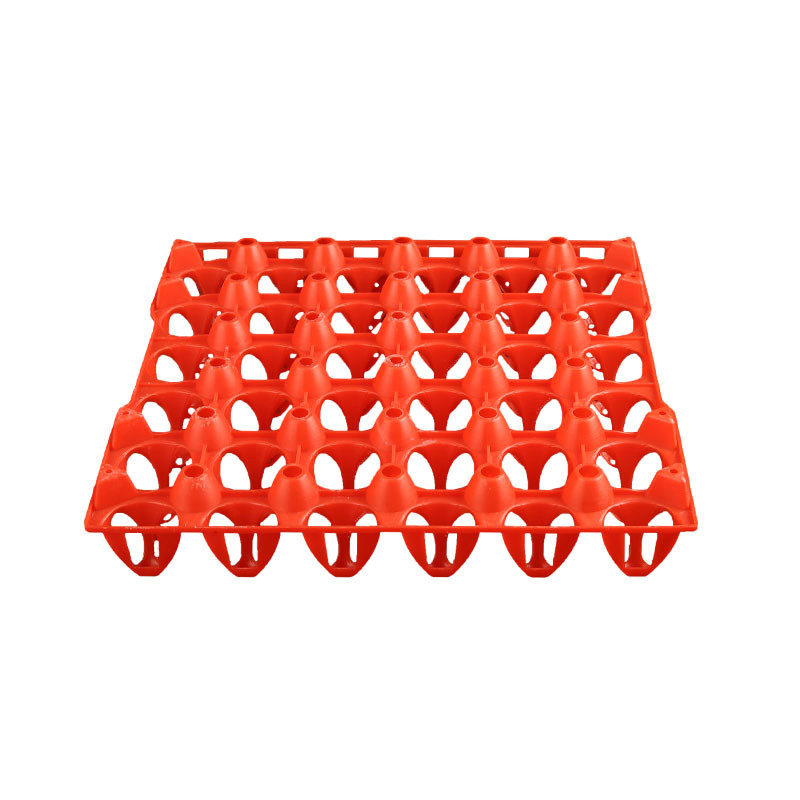 30 egg tray