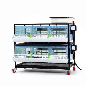 Chick brooder Comfortplast 25cm - 2 TIERS