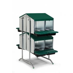 Laying nest battery | 2 floors | 8 nests
