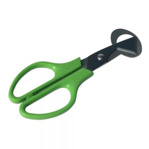 Quail egg scissors