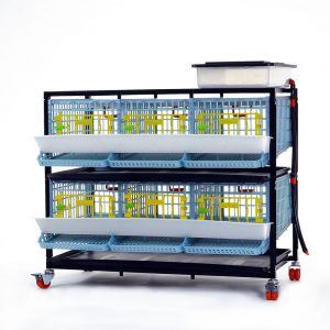 Cage system for quails Comfortplast - 2 TIERS