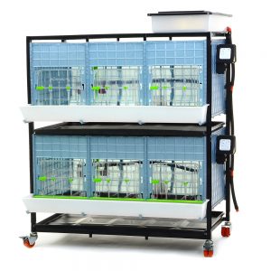 Elevated brooder Comfortplast 40cm - 2 TIERS