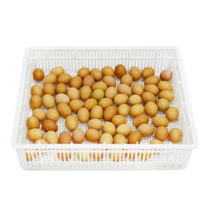 Hatching basket CS80Y