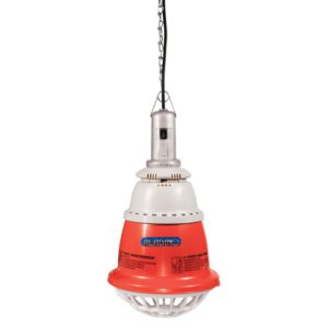 Aladino 250 reflector set with 2-way switch
