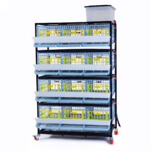 Cage system for quails Comfortplast - 4 TIERS