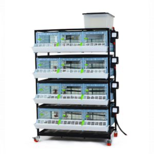 Chick brooder Comfortplast 25cm - 4 TIERS