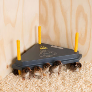 Comfort 30 Triangle Heating Plate, 13W, 15-20 chicks