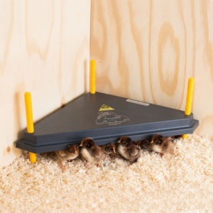 Comfort 40 Triangle Heating Plate, 24W, 20-25 chicks
