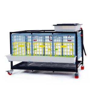 Pullet cage system 40cm - 1 TIER