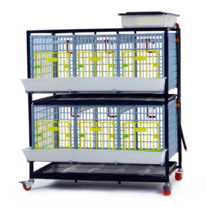 Pullet cage system 40cm - 2 TIERS