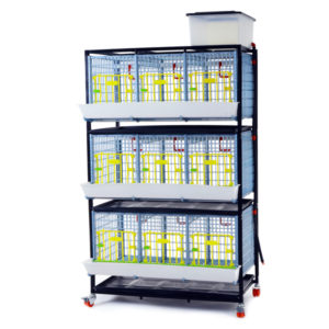 Pullet cage system 40cm - 3 TIERS
