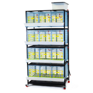 Pullet cage system 40cm - 4 TIERS