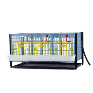 Pullet cage system 40cm - ADDITIONAL TIER