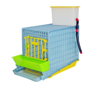 Cage system for partridges Comfortplast MINI