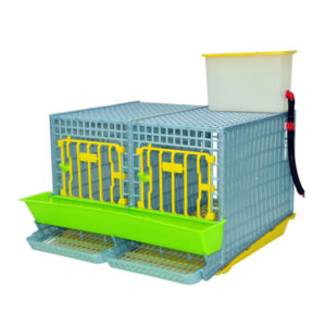 Cage system for partridges Comfortplast MIDI