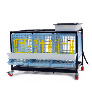 Cage system for partridges Comfortplast - 1 tier