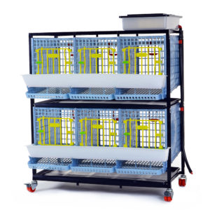 Cage system for partridges Comfortplast - 2 tiers