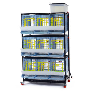Cage system for partridges Comfortplast - 3 tiers
