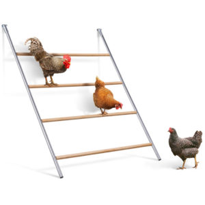 Chicken perching set, 1m x 1.4m