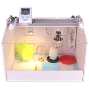 Brooder set, size L for 35 chicks