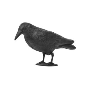 Bird repeller - sitting crow