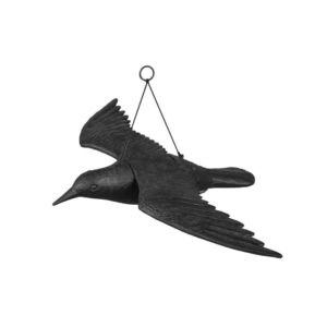 Bird repeller - flying crow