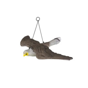 Bird repeller - flying falcon